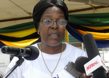 Deputy Permanent Secretary (PS) in Prime Minister's Office, Regina Kikuli